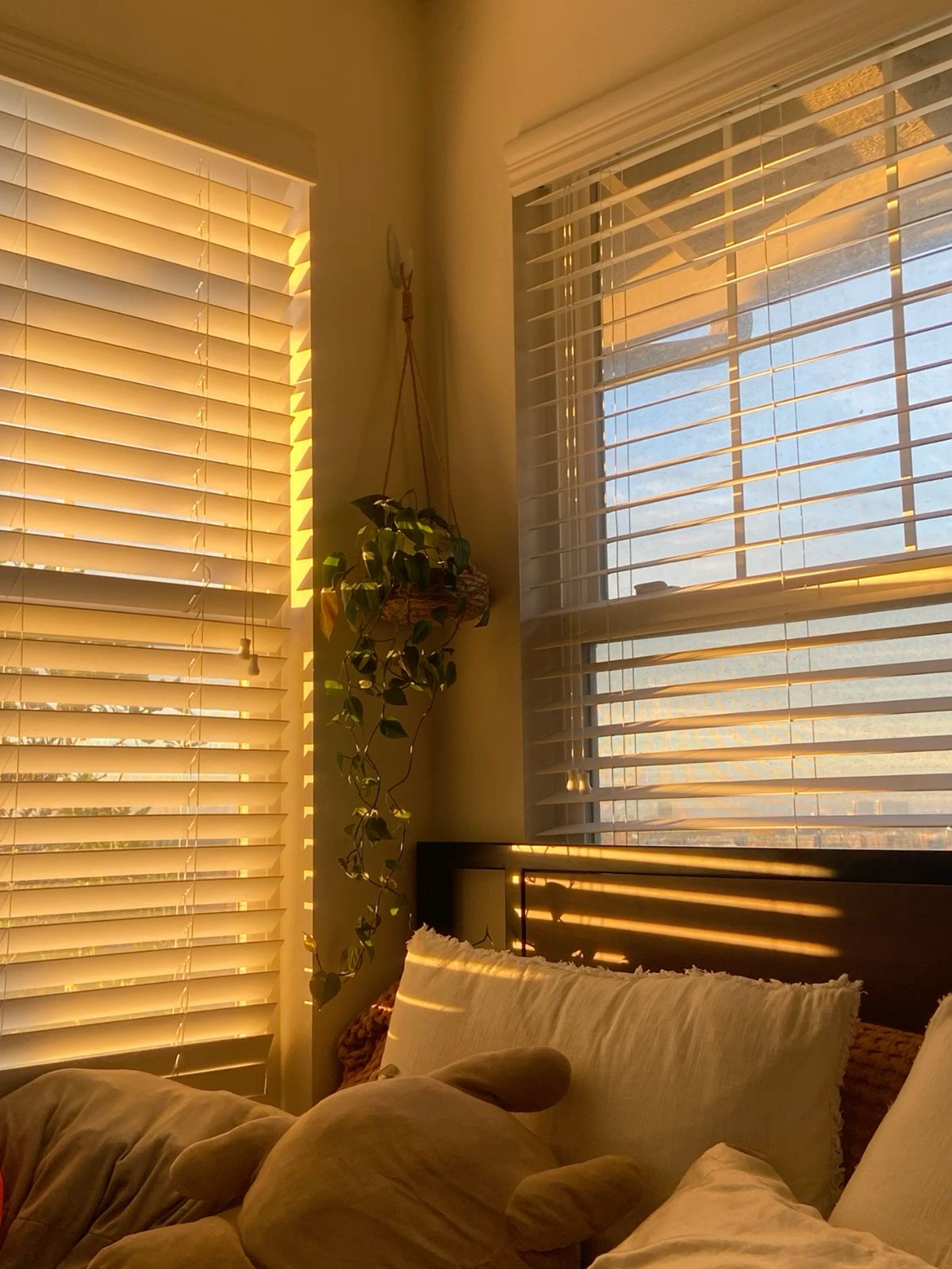 Sunlight streaming through a window onto a cozy bed.